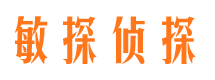 丰满市侦探公司